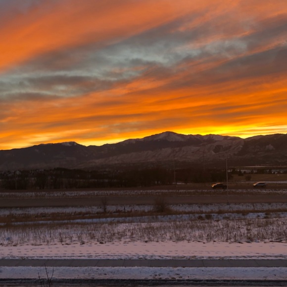 Meet your Posher, Desiree - Picture 2 of 4